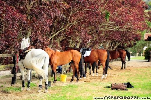 Segunda etapa da Hípica Boa Vista acontece em Santa Branca