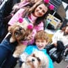 Famosos participam do 8o. Passeio de Cães em Campos do Jordão