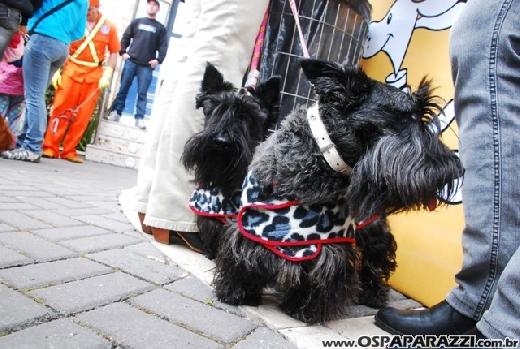 Famosos participam do 8o. Passeio de Cães em Campos do Jordão