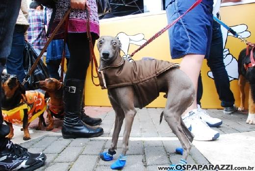 Famosos participam do 8o. Passeio de Cães em Campos do Jordão