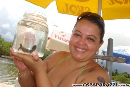 Galeria de Fotos