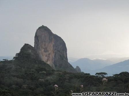 Galeria de Fotos