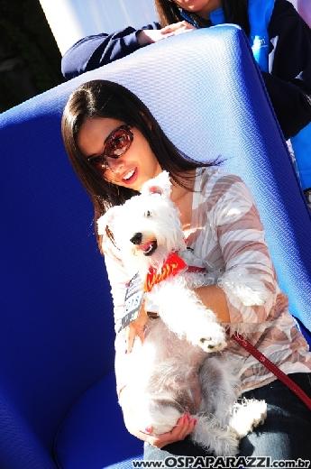 Passeio de cães agita Campos do Jordão
