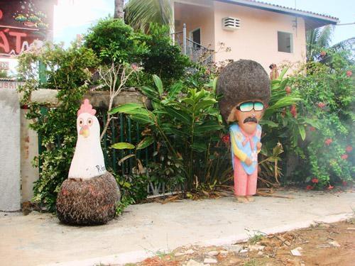 Imagens de Porto de Galinhas