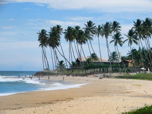 Fotos de Porto de Galinhas