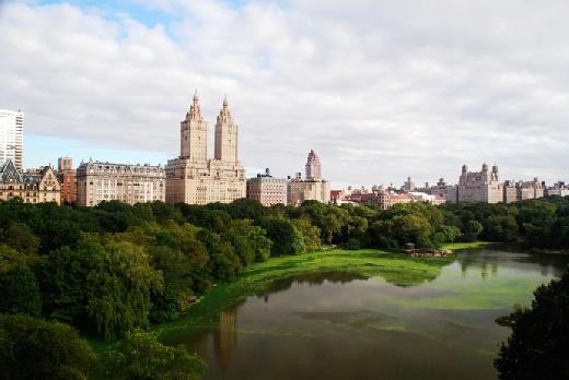 O que você vai ver em Nova York