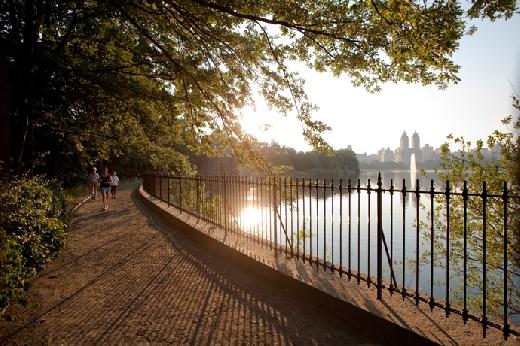 O que você vai ver em Nova York