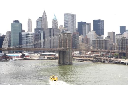 O que você vai ver em Nova York