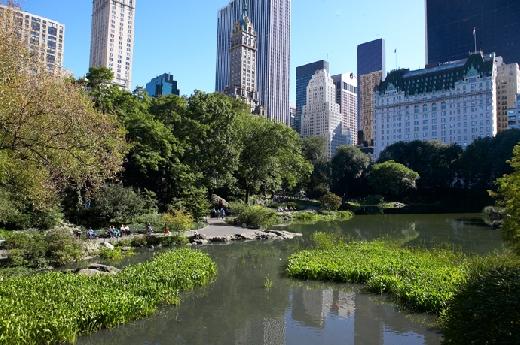 O que você vai ver em Nova York