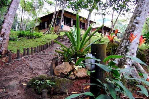 Fotos de Caraguatatuba