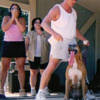 Cachorro com a maior lingua do mundo