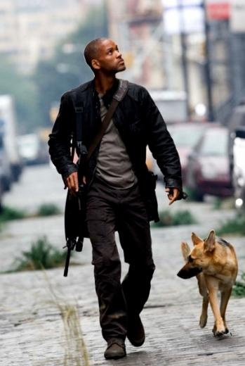 Raça de cachorro Pastor Alemão no filme Eu Sou a Lenda, com Will Smith