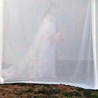Casamento de Drew Barrymore e Will Kopelman