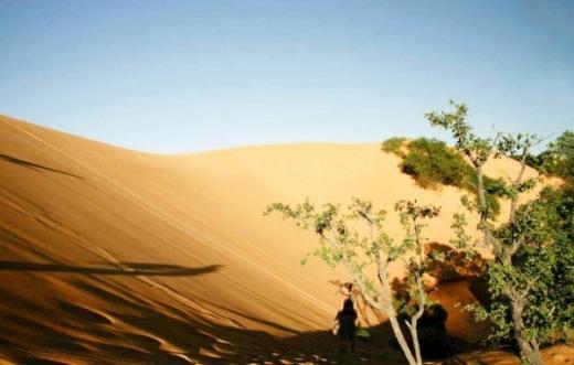 Fotos Deserto do Jalapão