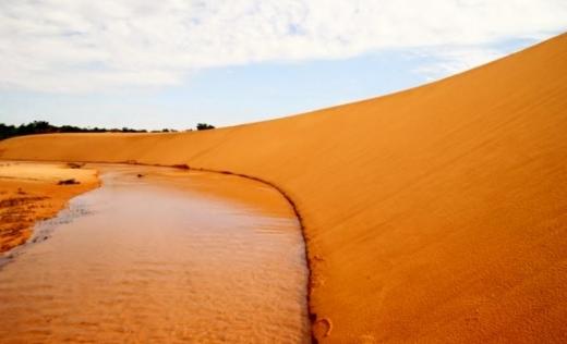 Fotos Deserto do Jalapão