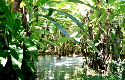 Fotos Fervedouro Tocantins
