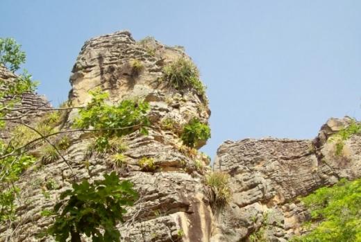 Foto do Parque Nacional da Serra da Capivara