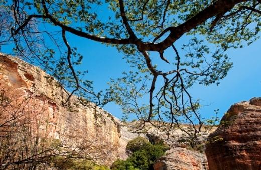 Imagem Parque Nacional da Serra da Capivara