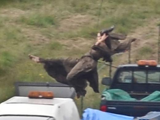 Angelina Jolie voando em Malévola