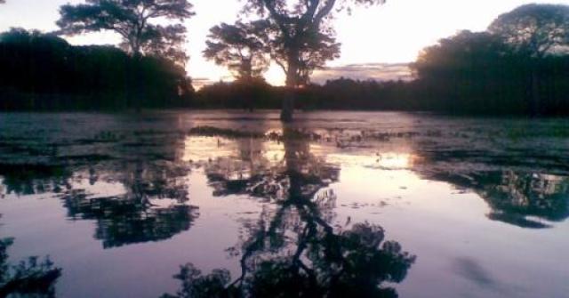 Pantanal e o Refúgio Ecológico Caiman, um lugar exótico e surpreendente!