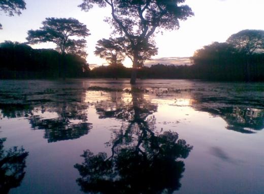 Pantanal e o Refúgio Ecológico Caiman possui turismo de aventura