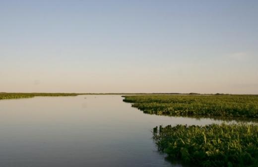 Imagens do Pantanal e o Refúgio Ecológico Caiman