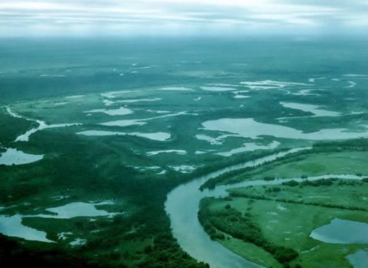 Imagem Pantanal e o Refúgio Ecológico Caiman