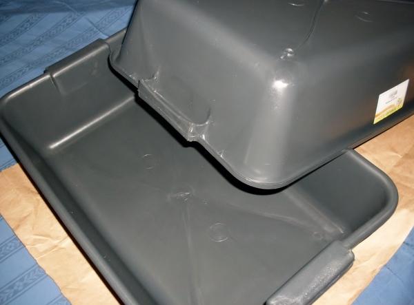 Liteira para gatos: como ensinar seu gato a usar a caixa de areia