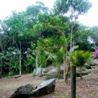 Fotos de Ilhabela