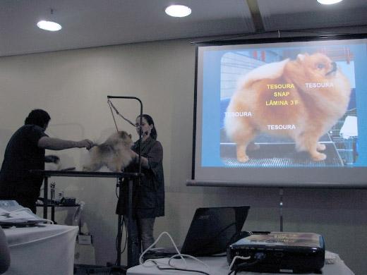Sergio Vallasanti fez um curso sobre tosa animal em São José dos Campos