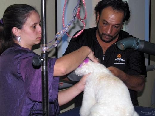 Sergio Vallasanti possui uma escola em Campinas sobre estética animal