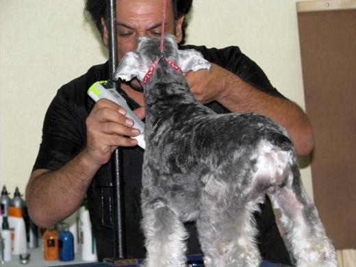 Sergio Vallasanti