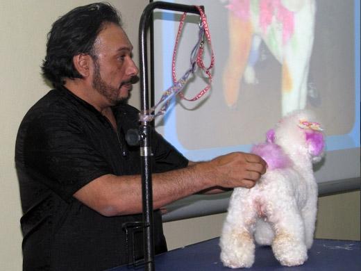 Sergio Vallasanti