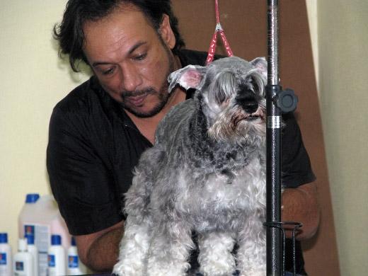 Sergio Vallasanti