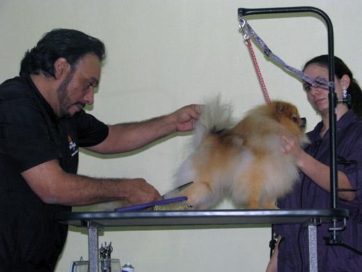 Sergio Vallasanti