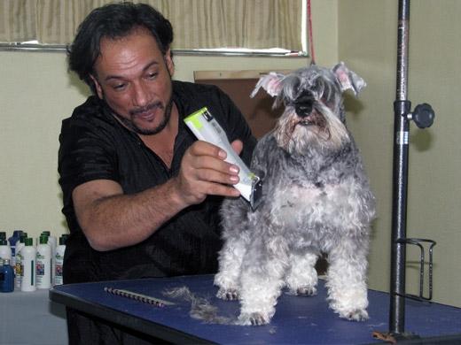 Sergio Vallasanti