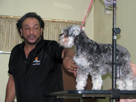 Sergio Vallasanti