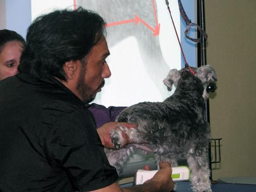 Sergio Vallasanti