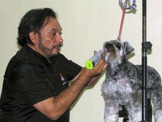 Sergio Vallasanti