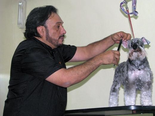 Sergio Vallasanti