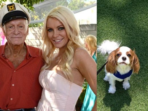 Hugh Hefner ao lado de sua futura esposa Crystal Harris e o cãozinho Charlie