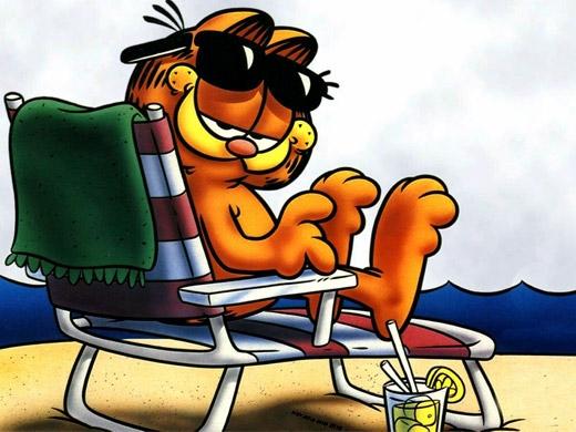 Gato Garfield