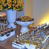 Festa de aniversário tema oncinha