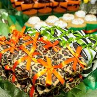 Festa de aniversário tema oncinha e zebrinha