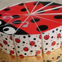 Festa de aniversário tema joaninha