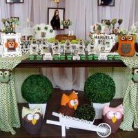 Festa de aniversário tema corujinha