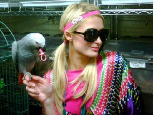Paris Hilton e seu papagaio