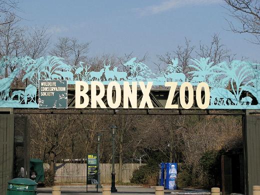 Zoológico do Bronx Nova York
