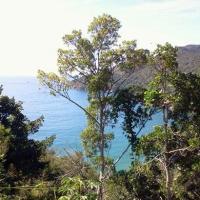 Vista da praia do Jabaquara em Ilhabela