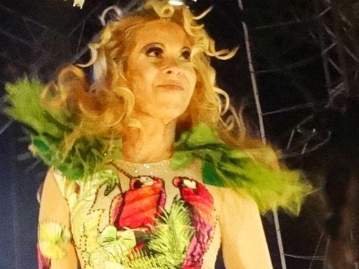 Joelma sozinha em show do Calypso
